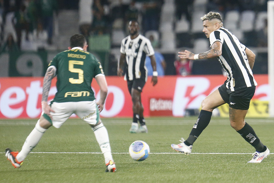 Botafogo x Palmeiras (Foto: Vítor Silva/Botafogo)