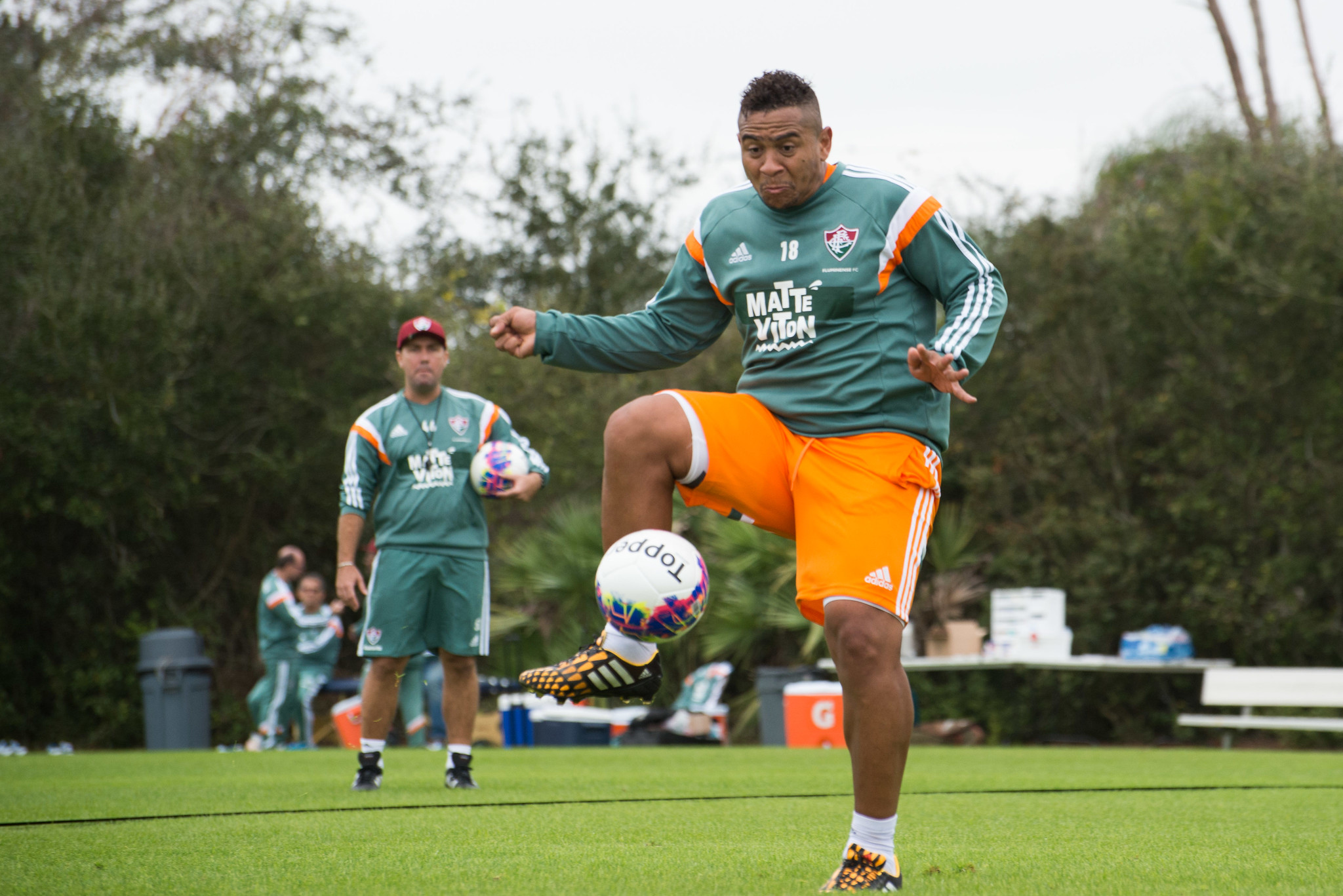 Walter Divulgação/ Fluminense