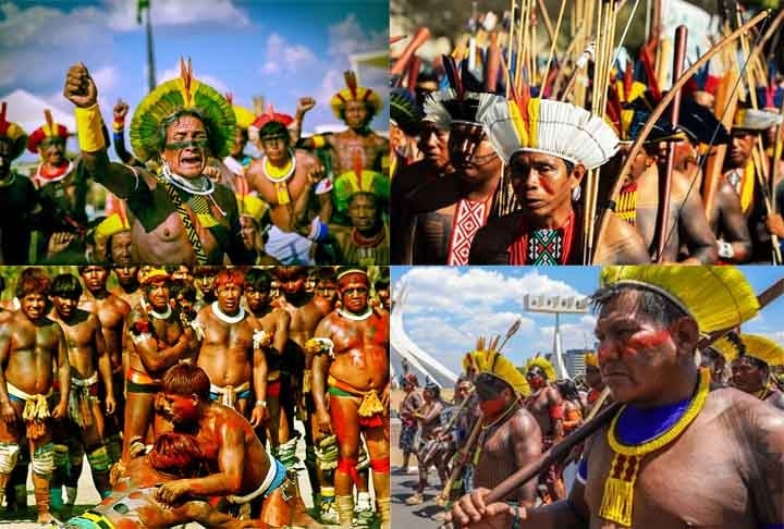 Brasil: Tem mais de 300 povos indígenas, com destaque para os Yanomami, Guarani e Kayapó. Cerca de 13% do território nacional é destinado às reservas indígenas, mas essas terras enfrentam pressão do agronegócio e da mineração. Apesar das dificuldades, os povos indígenas são essenciais para a conservação da biodiversidade.
 Reprodução: Flipar