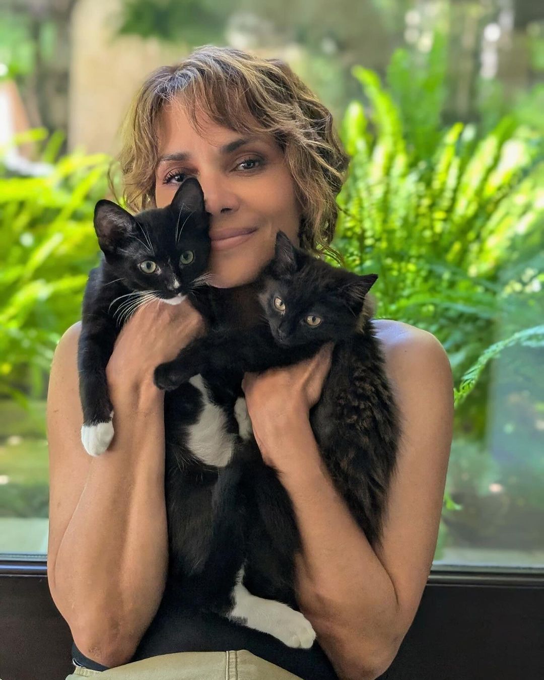 Halle Berry apresenta Boots e Coco, seus novos gatos de estimação Reprodução/Instagram