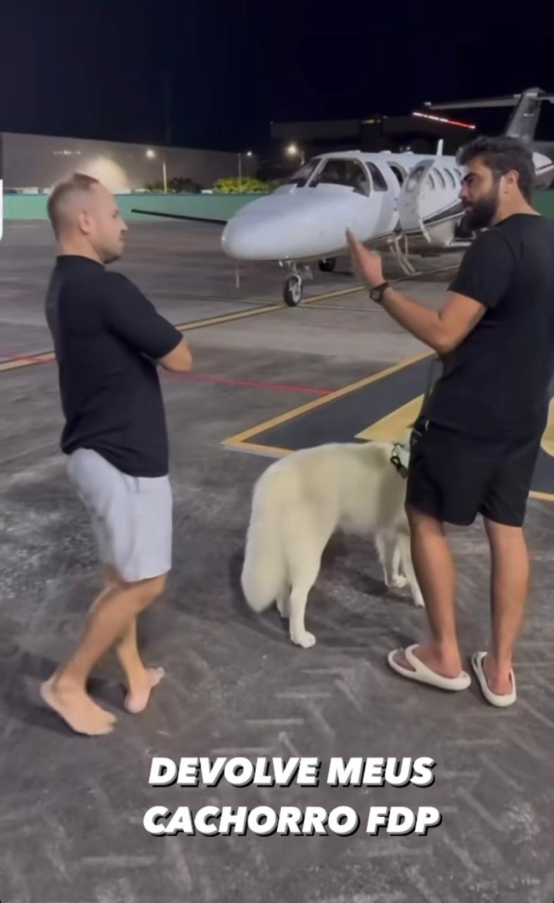 Henrique e Juliano "roubam" cães de Nattan e os levam de avião para outro estado Reprodução/Instagram