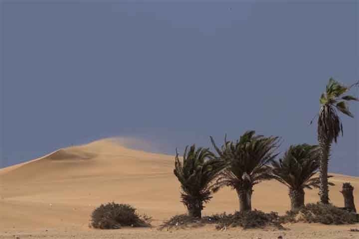 Duller explicou à BBC Brasil que descobrir o período de formação da duna possibilita compreender o clima da época a partir do comportamento dos ventos. 
 Reprodução: Flipar