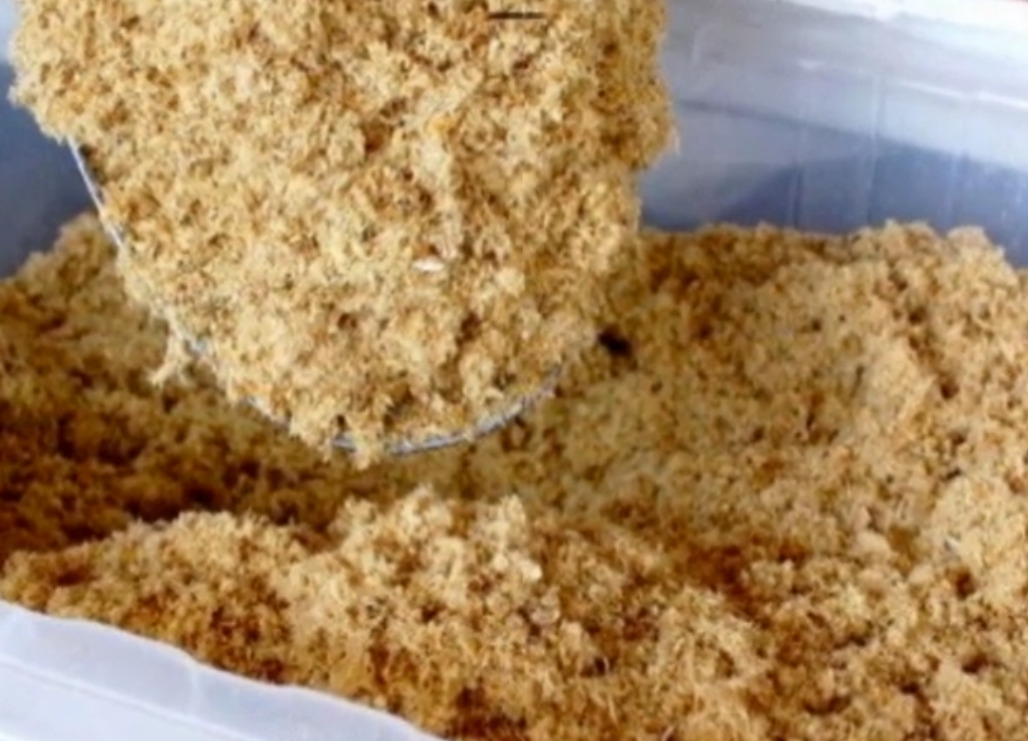 Piracuí: Farofa feita a partir de peixes secos como o pirarucu, utilizada para criar bolinhos ou acompanhamentos. Combina simplicidade com o aproveitamento sustentável da biodiversidade local. Servido com arroz e vinagrete. Calorias: cerca de 160 kcal. Reprodução: Flipar
