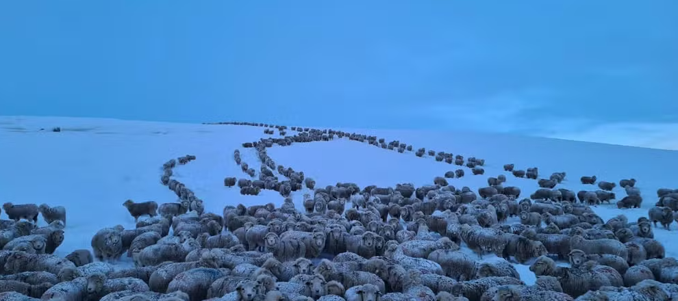 Os termômetros chegaram a -15°C na Patagônia Reprodução:Ministério de Defesa da Argentina