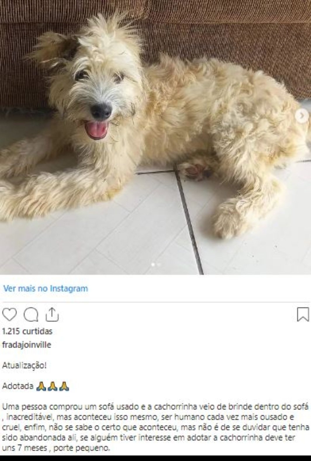 A Frada atualizou então a mensagem dizendo que a cachorrinha foi adotada . E ainda botou uns emojis de mãos em prece. Reprodução: Flipar