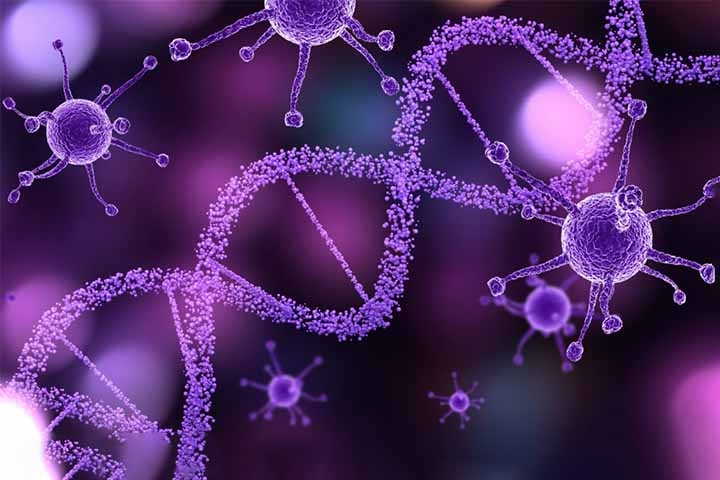 Esse fenômeno raro acontece quando os parceiros têm genes recessivos que, caso combinados, aumentam os riscos de problemas genéticos nos embriões.

 Reprodução: Flipar