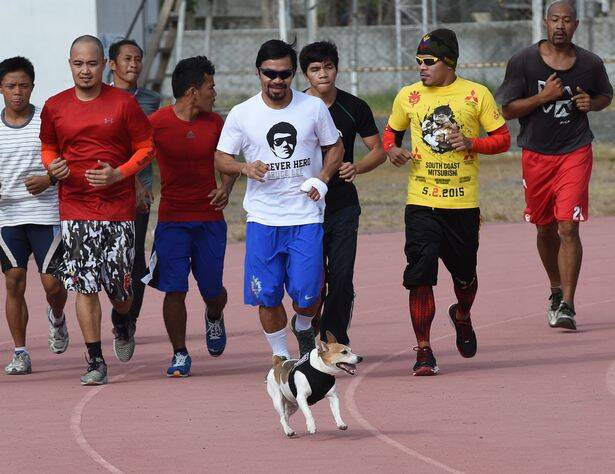 Lutador ao lado do cachorro. Foto: Instagram