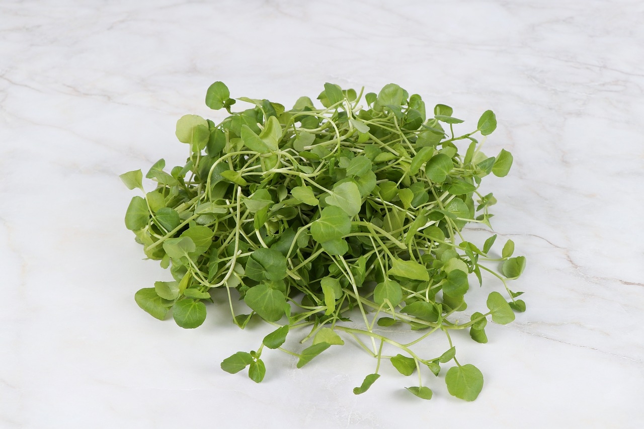 O brócolis é um dos alimentos ricos em cálcio que mais têm quantidades do nutriente. Além dele, o agrião também é outro vegetal que traz esse nutriente e é fonte de ferro, potássio e fósforo. Reprodução: Flipar