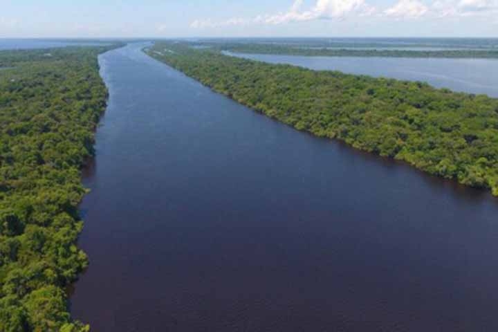 Elas destacam áreas em que sai uma quantidade menor de água dos rios do que entrou. A Bacia do rio Amazonas também é a bacia que mais descarrega água para o oceano.  Reprodução: Flipar