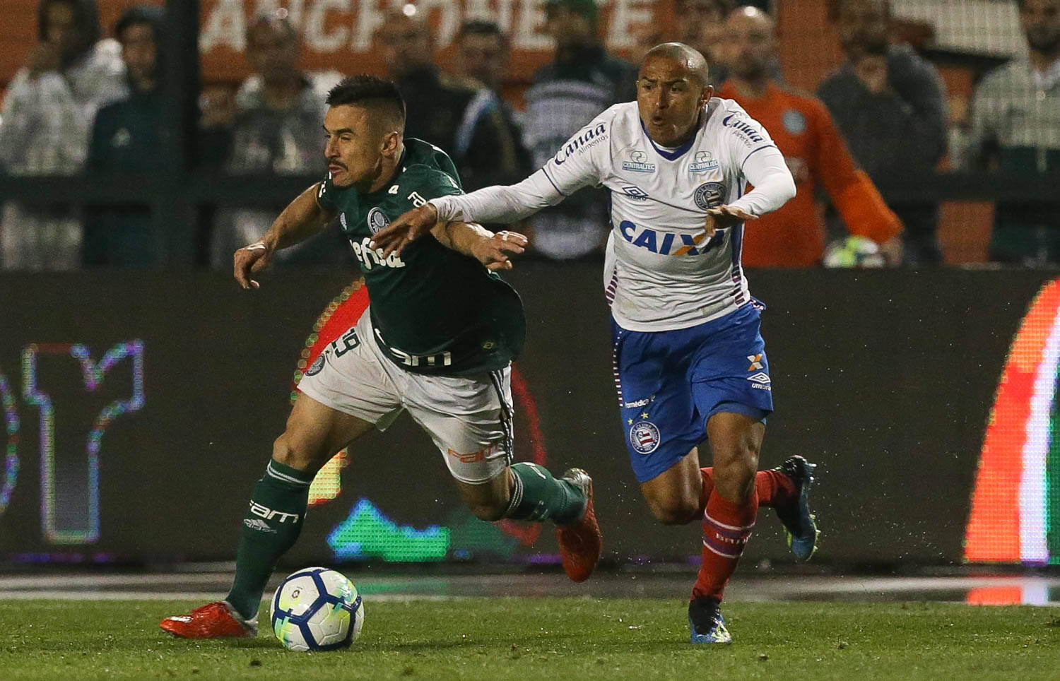Foto: Cesar Greco/Ag Palmeiras/Divulgação