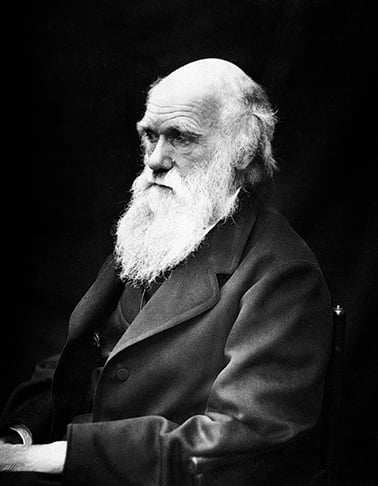 Já o naturalista Charles Darwin, famoso por sua teoria da evolução, nasceu na cidade de Shrewsbury, no ocidente da Inglaterra. Saiba a seguir detalhes sobre essas duas importantes figuras nascidas há 216 anos. 
 Reprodução: Flipar