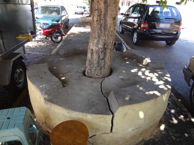Outro mau exemplo das autoridades. Moradores de Palmeiras (SP) denunciaram que funcionários da prefeitura concretaram a base de árvores. Eles chegaram a construir suportes em forma de mesas ao redor das árvores.
