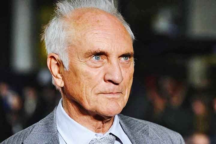 O ator Terence Stamp, famoso por papéis em filmes como “Superman 2 - A Aventura Continua” e “Priscila, a Rainha do Do Deserto”, morreu no dia 17/08, aos 87 anos.
 Reprodução: Flipar