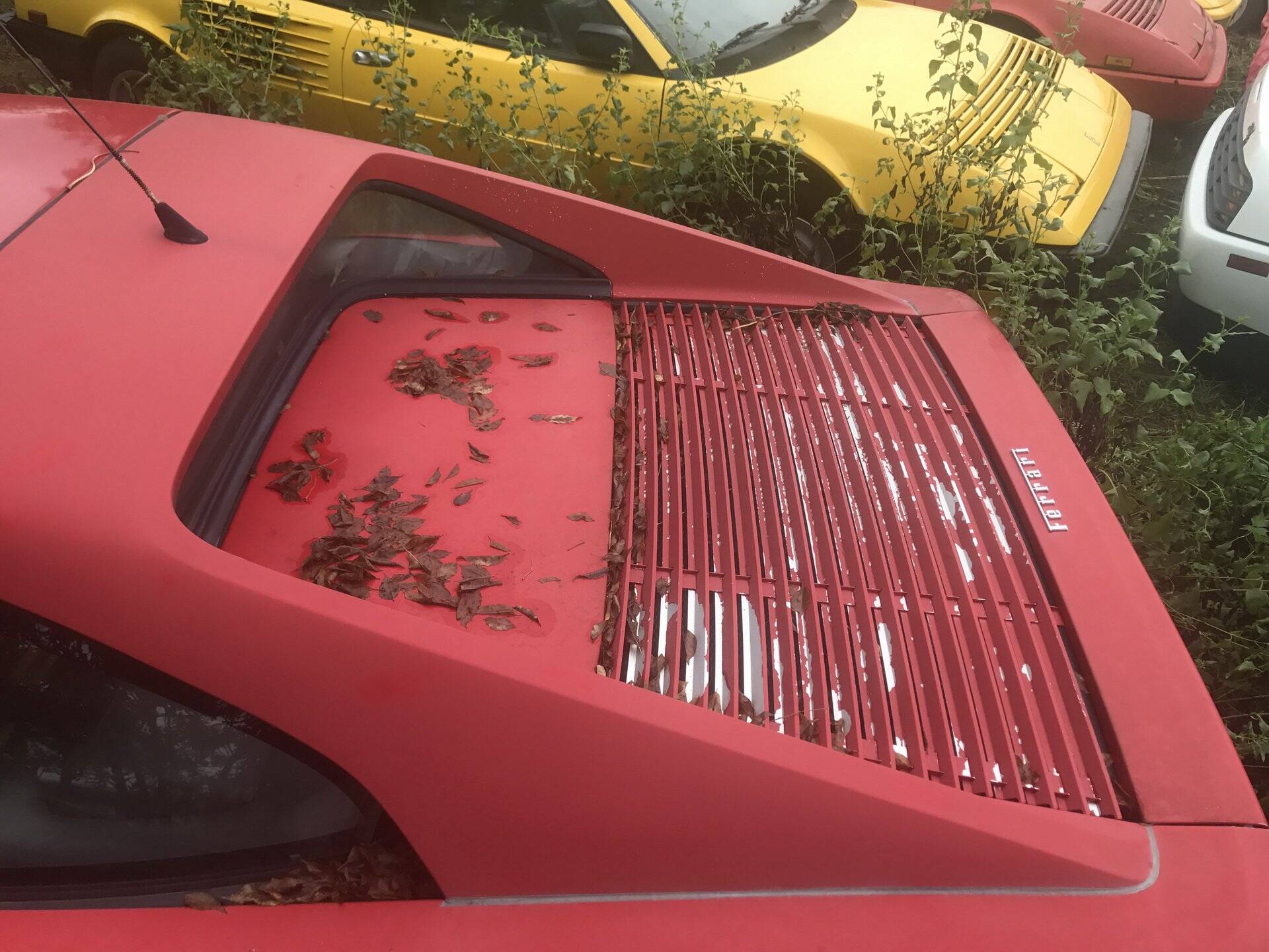 Coleção de Ferrari abandonadas. Foto: Divulgação