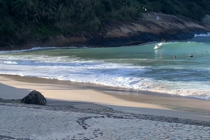 Estudos feitos na Praia de Fora, localizada na Zona Sul da cidade do RJ, mostram uma redução populacional desde os anos 1990. Reprodução: Flipar