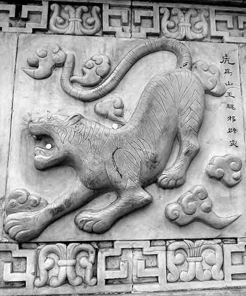 O tigre é o retrato do deus do Oeste, Baihu, que proporciona coragem e força. Este animal branco está vinculado ao metal e ao outono.