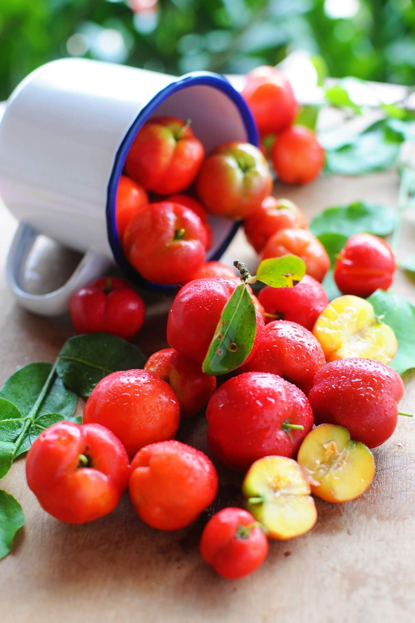 2. Acerola A acerola possui um teor de vitamina C muito elevado, sendo uma das maiores fontes naturais desse nutriente. Ela ajuda a fortalecer o sistema imunológico, combate os radicais livres e melhora a absorção de ferro. Reprodução: EdiCase