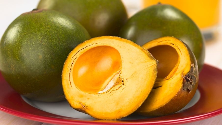 8. Lúcuma: Fruta nativa da região andina da América do Sul, principalmente dos vales do Peru, Chile, Bolívia e Equador. Ela se caracteriza por um alto valor nutricional, pois é rico em cálcio, proteínas, ferro, zinco e beta-caroteno.  Reprodução: Flipar