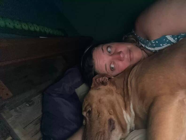 Nada como acordar pela manhã e encontrar um pit bull aleatório na sua cama. Foto: Julie Thorton Johnson