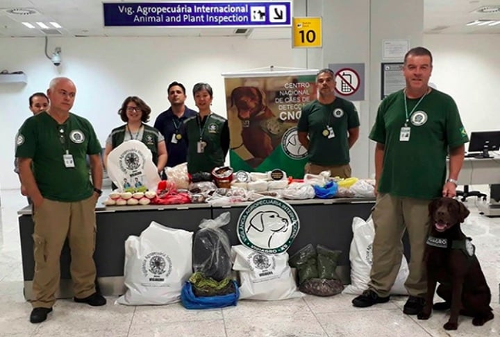 Durante as inspeções, as equipes também promovem educação sanitária, esclarecendo os riscos de entrada irregular de produtos de origem animal e vegetal. Reprodução: Flipar