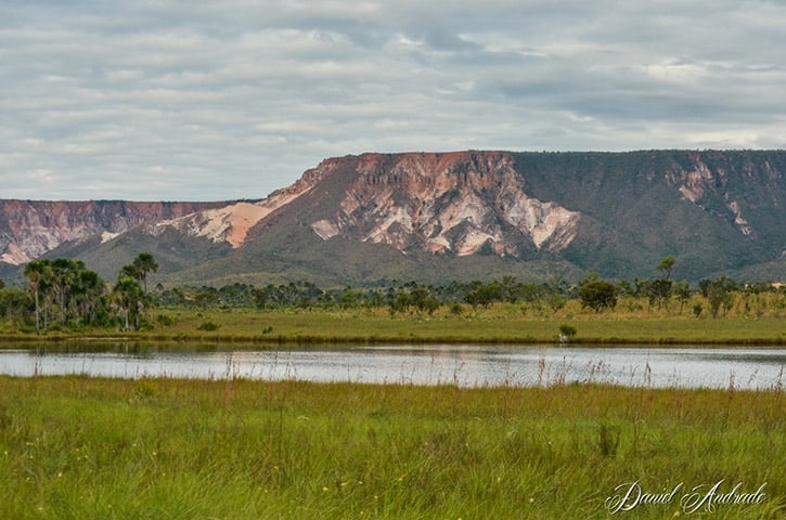 O território está protegido por cinco unidades de conservação integral da natureza: a Estação Ecológica Serra Geral do Tocantins, a Estação Ecológica do Rio Preto, o Monumento Natural Canyons e Corredeiras do Rio Sono, o Parque Estadual do Jalapão e o Parque Nacional das Nascentes do Rio Parnaíba  Reprodução: Flipar