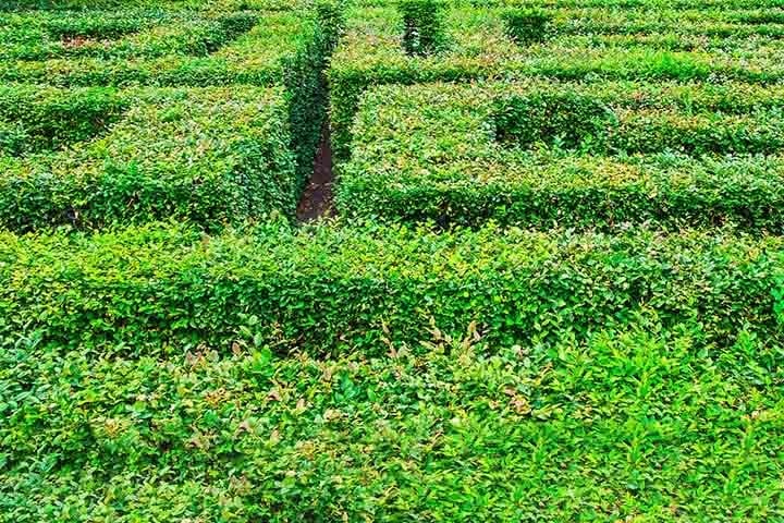 Ao contrário dos labirintos complexos, recheados de becos sem saída, aqueles voltados à meditação são diferentes. Eles são baseados em desenhos clássicos onde, por mais complexo que seja o percurso, a pessoa sempre terá um caminho livre em direção ao seu centro. Reprodução: Flipar