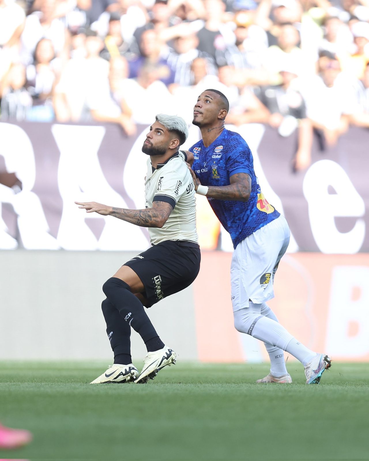 Corinthians x Santos André - Paulistão André Tavares/Santo André