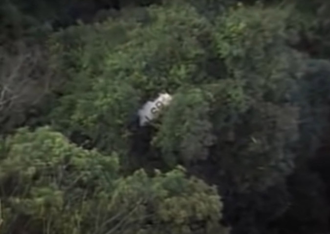 Sucesso absoluto, interrompido pela morte precoce, quando o avião em que eles estavam bateu na Serra da Cantareira, em São Paulo, em 2/3/1996 Reprodução: Flipar