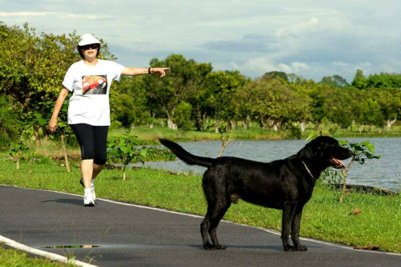 Dilma Rousseff e Nego, cachorro de estimação falecido em 2016. Foto: Reprodução