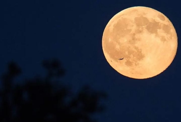 Depois da Apollo 11, outros astronautas conseguiram chergar à Lua. Dos 12 astronautas que pisaram na Lua em missões bem sucedidas, apenas 4 estão vivos. Veja, além de Buzz Aldrin, quem são eles.  Reprodução: Flipar