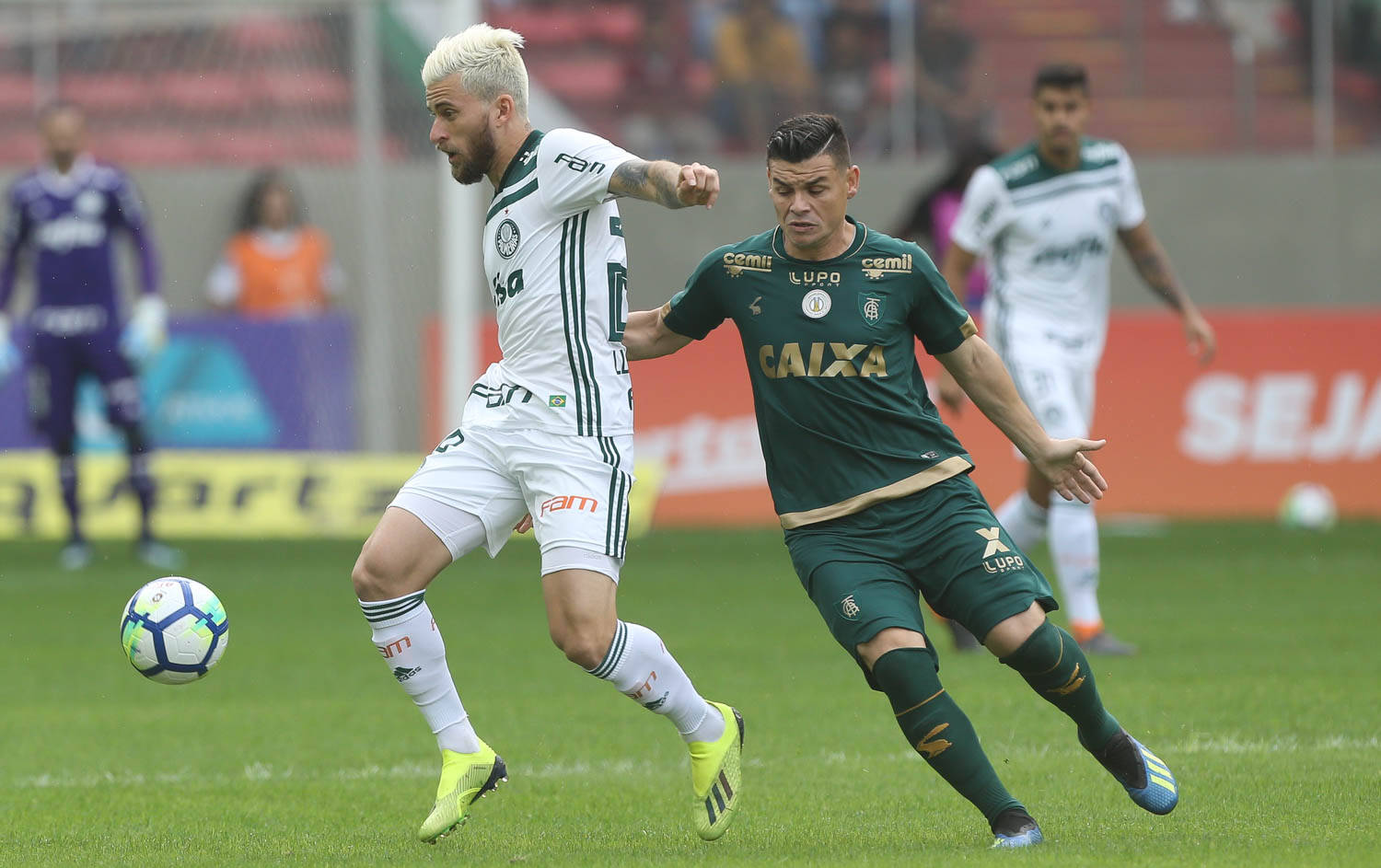 América-MG x Palmeiras, pela 17ª rodada do Campeonato Brasileiro de 2018. Foto: PALMEIRAS/CÉSAR GRECO