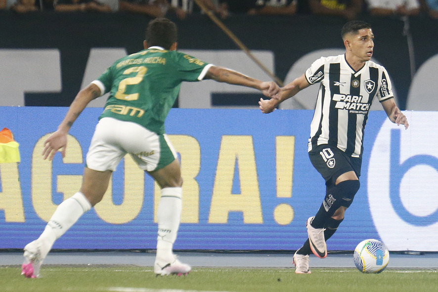 Botafogo x Palmeiras (Foto: Vítor Silva/Botafogo)