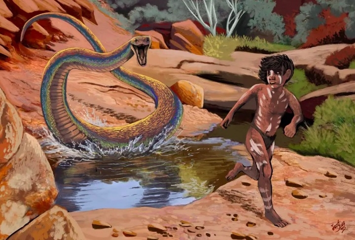 Wonambi naracoortensis – Viveu em habitats secos da Austrália durante o período pleistoceno, ou seja, até cerca de 40 mil anos atrás. Reprodução: Flipar