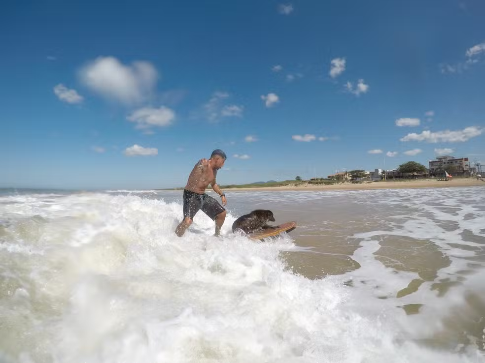 Diego treina com Toddy para a competição de surfe com cachorros na Califórnia Reprodução/Instagram