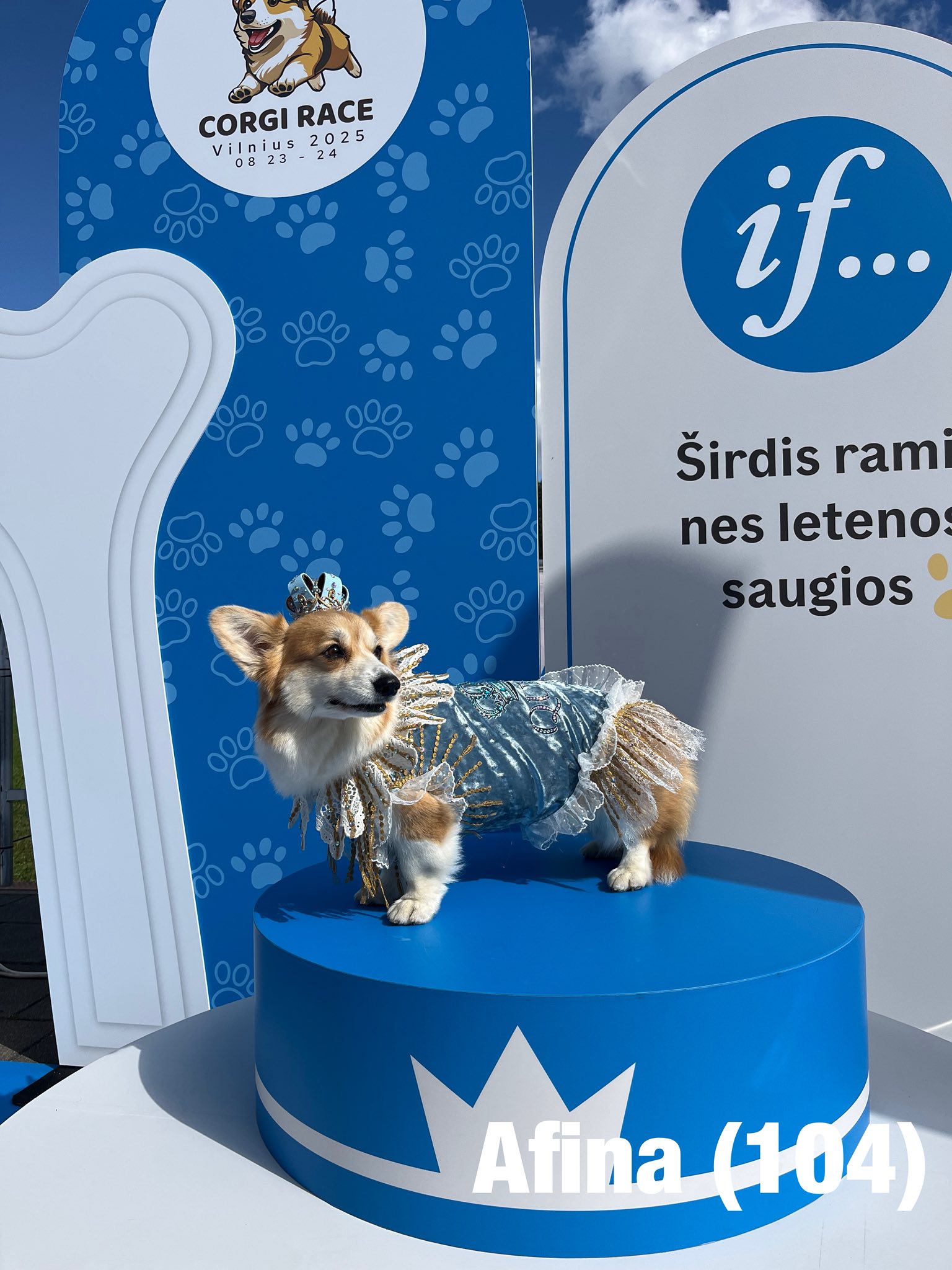 Corrida de Corgis reúne competidores fantasiados na Lituânia. Foto: Facebook/Corgi Race Vilnius