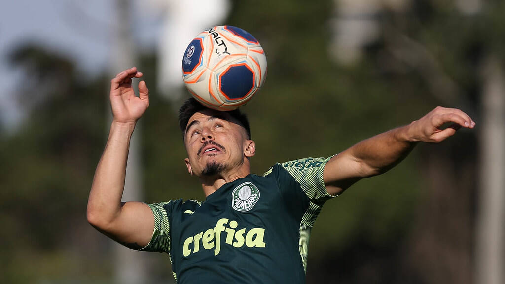 Palmeiras treina para a semifinal. Foto: Cesar Greco