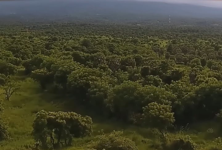 A exploração na região é desafiadora devido à densa floresta, mas avanços tecnológicos ainda podem revelar mais segredos desse passado vulcânico. Reprodução: Flipar