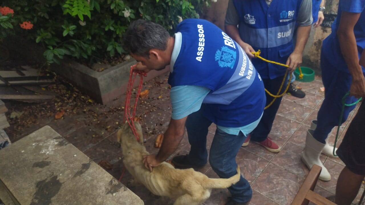 Momento do resgate dos cães na Zona Norte do Rio de Janeiro. Foto: Divulgação