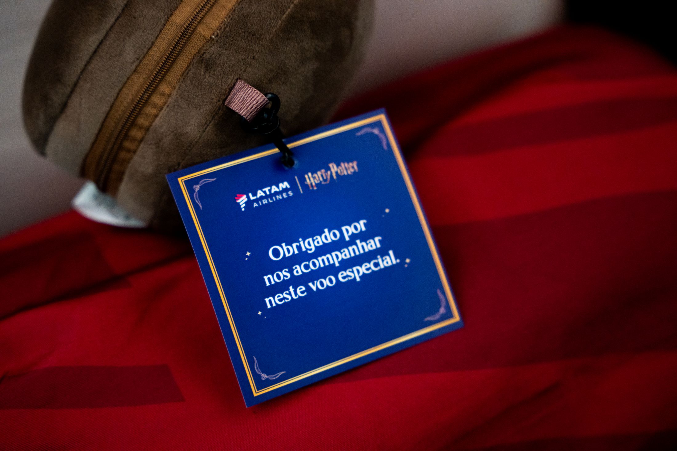 Bilhete especial da aeronave temática do Harry Potter. Foto: Divulgação / Latam