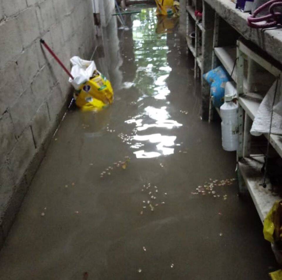 A ONG Focinhos de Luz ficou alagada . Foto: Reprodução Facebook