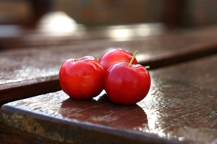 Com um mercado em constante crescimento, tanto no Brasil quanto no exterior, a acerola tem um futuro promissor como uma fruta rica em nutrientes e com diversos benefícios para a saúde. Reprodução: Flipar