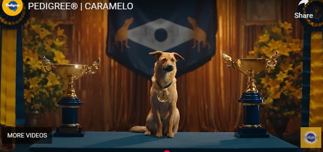 Uma campanha publicitária que estimula a adoção responsável de cães sem raça definida - o popular vira-lata - recebeu um prêmio no festival Cannes Lions, na França. 
 Reprodução: Flipar