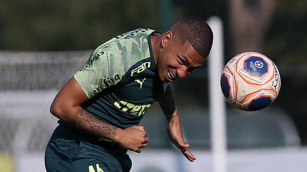 Palmeiras treina para a semifinal. Foto: Cesar Greco