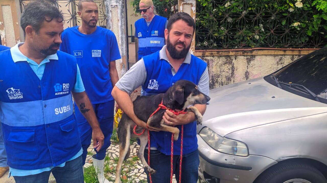 Momento do resgate dos cães na Zona Norte do Rio de Janeiro. Foto: Divulgação