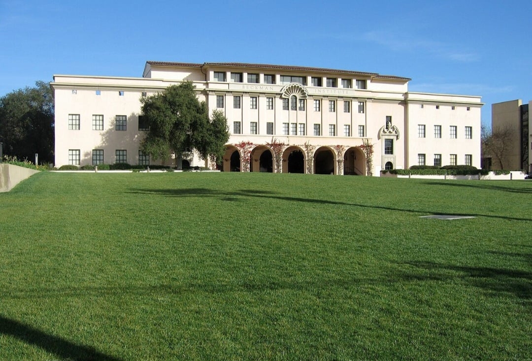 Pesquisadores do Instituto de Tecnologia da Califórnia, o Caltech (foto) criaram uma água-viva biônica que vai auxiliar nos estudos sobre as profundezas do oceano. Reprodução: Flipar