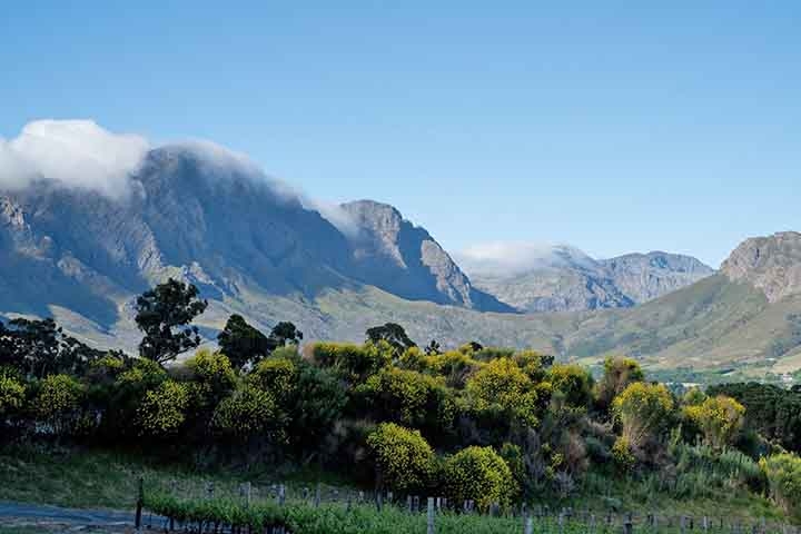 Franschhoek é uma cidade da África do Sul, situada na província de Cabo Ocidental a cerca de 50 quilómetros da Cidade do Cabo. Ela dá dá aos visitantes a possibilidade de degustar uma vasta gama de vinhos para acompanhar a cozinha francesa refinada e de visitar soberbos domínios vinícolas como o de Boschendal. Reprodução: Flipar