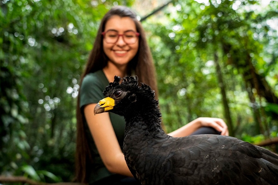 O seu filho é fã de passarinhos e vive brincando de voar? Que tal levá-lo ao Parque das Aves, em Foz do Iguaçu (PR). Um local com contato direto com as mais de 1300 aves, de 143 espécies diferentes.