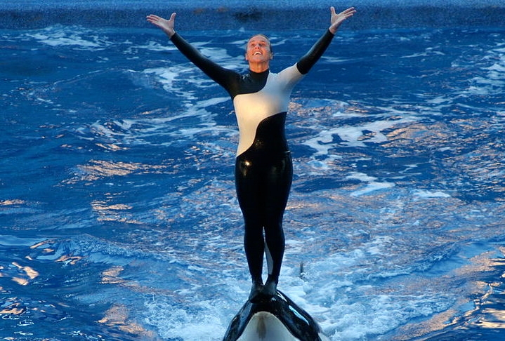 Dawn Brancheau: Nascida em 16 de abril de 1969, Dawn foi uma treinadora de orcas e especialista em vida marinha que se tornou uma das principais treinadoras de orcas do SeaWorld Orlando, na Flórida. Reprodução: Flipar