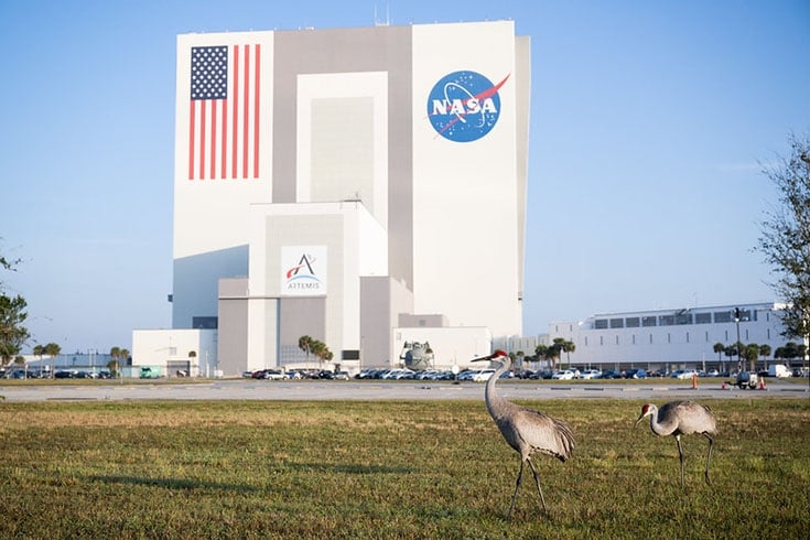 Desde o fim de 2023, a agência Espacial dos EUA mantém o serviço de streaming NASA , lançado para despertar o interesse de aficionados por assuntos do universo. Reprodução: Flipar