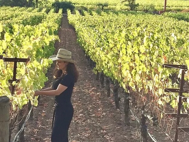 Salma Hayek - A atriz mexicana e seu marido François-Henri Pinault são donos da Eisele Vineyard, em Napa Valley, na Califórnia. Em 2020, o vinhedo sofreu um incêndio e a atriz fez um agradecimento público aos bombeiros que salvaram a propriedade.  Reprodução: Flipar